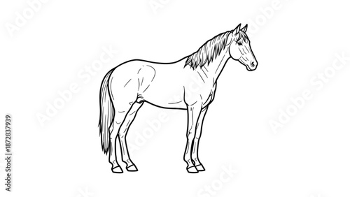 A horse standing alone in a serene landscape viewed from the side