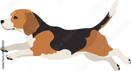 Jumping beagle dog