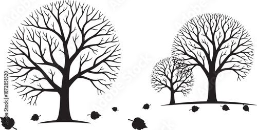 Bare trees silhouette with falling leaves Vector