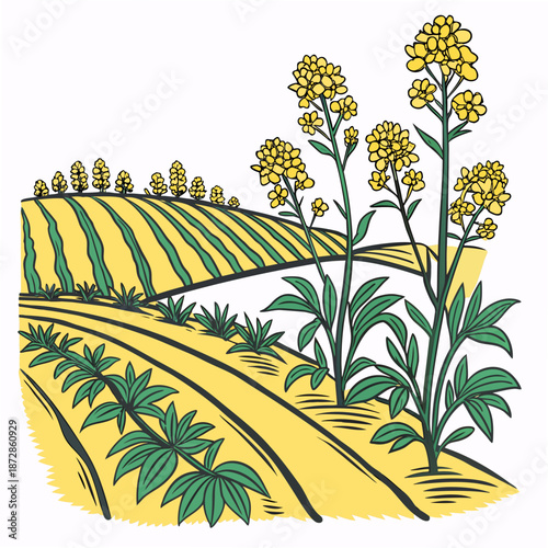 Golden flower crop field with green and yellow plants