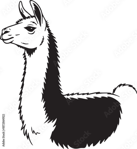 Hand-Drawn Llama Portrait, Minimalist Black and White Alpaca Vector Illustration