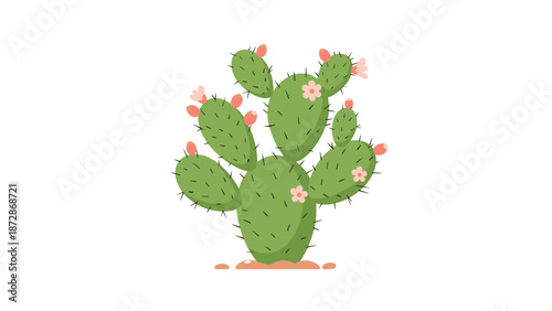 Prickly pear cactus plant with green pads and pink blossoms growing in soil depicted in a soft colorful vector illustration.