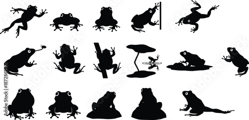 Frog silhouette poses set showing jumping, sitting, climbing, and swimming frogs, black wildlife animal illustration collection for nature, biology, icons, and design concepts