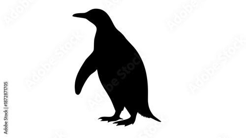 Minimalist Penguin Silhouette Vector – Standing Antarctic Flightless Bird Icon for Cold Climate Graphic Design