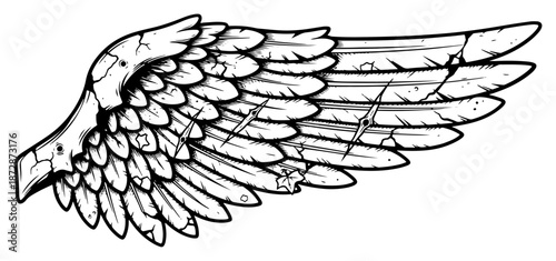 Hand drawn stone bird wing with cracks and damaged feathers