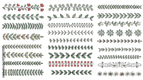 Collection of Floral and Foliage Illustrations