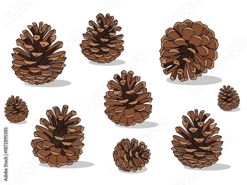 Pinecone Assortment A Collection of Natural Brown Cones for Holiday Crafts and Forest-Inspired Decor