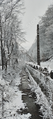 bridge over the river