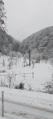 winter landscape with snow