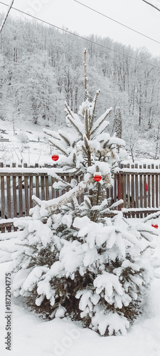 snow covered trees