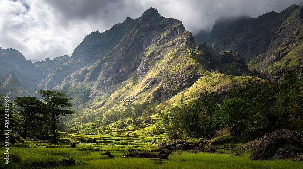 Fototapeta premium Expansive green terraced rice fields cascading down lush mountains under a cloudy sky