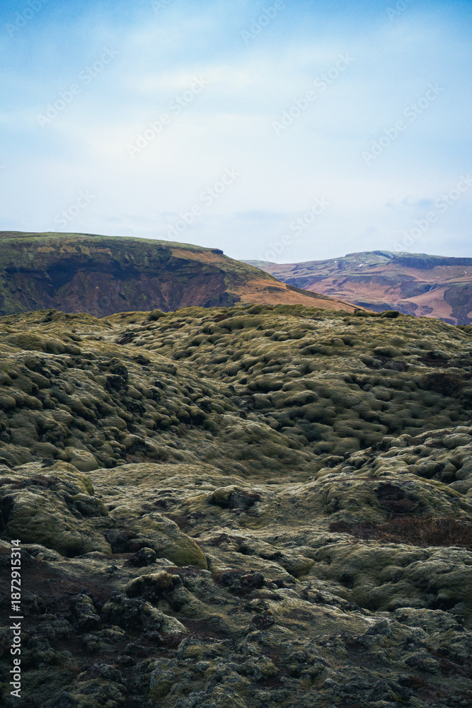 Obraz premium OLYMPUS DIGITAL CAMERA