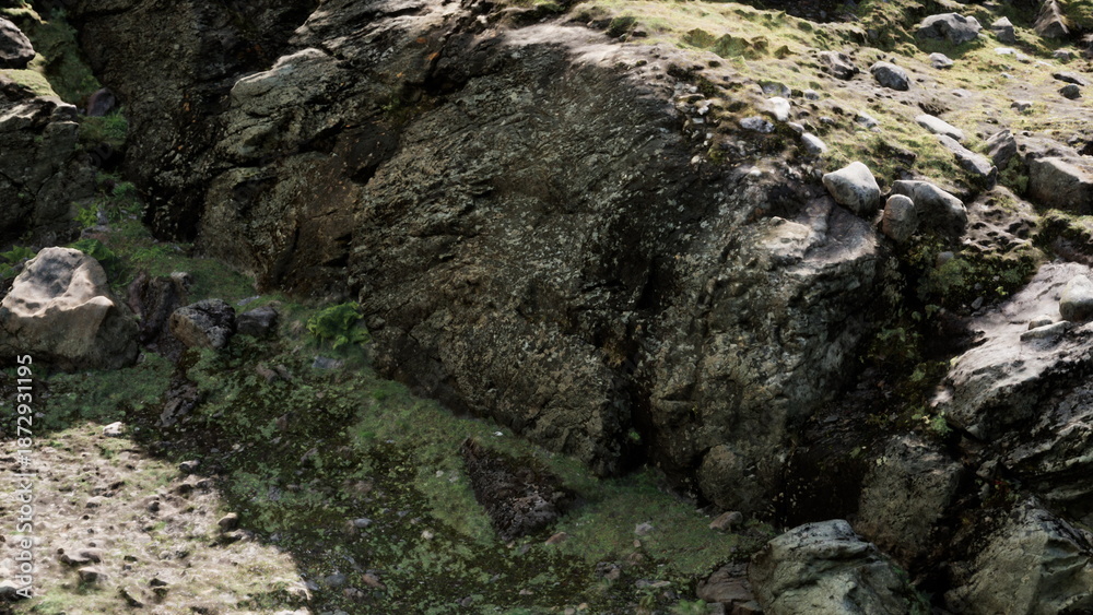 Obraz premium A rugged shoreline features large stones and patches of green moss under bright sunlight. The scene captures the beauty of nature, showcasing the intricate textures of rock and earth.