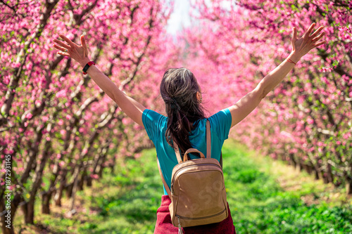 Trees blooming in the spring season (pink flowers)