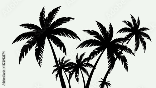 Silhouette of multiple palm trees against a light background