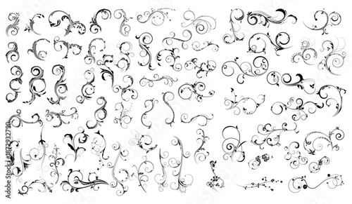 A collection of vintage floral ornaments and swirls