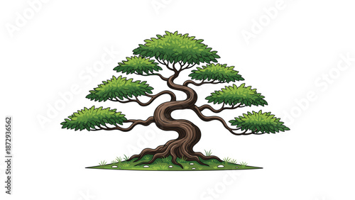 Beautifully illustrated bonsai tree with a twisted trunk and lush green leaves, symbolizing harmony, peace, and nature.