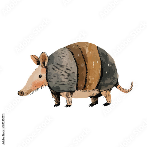 Cute Watercolor Armadillo Illustration HandDrawn Wildlife Art.