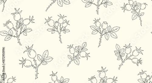 Detailed botanical line art pattern of rose hips branches with small berries and leaves on a neutral cream background surface.