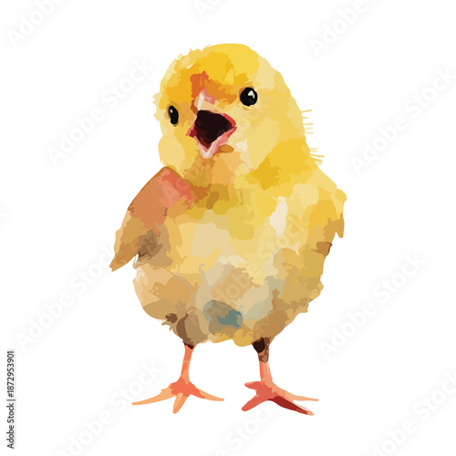 Cute Yellow Chick Baby Chicken Watercolor Illustration.