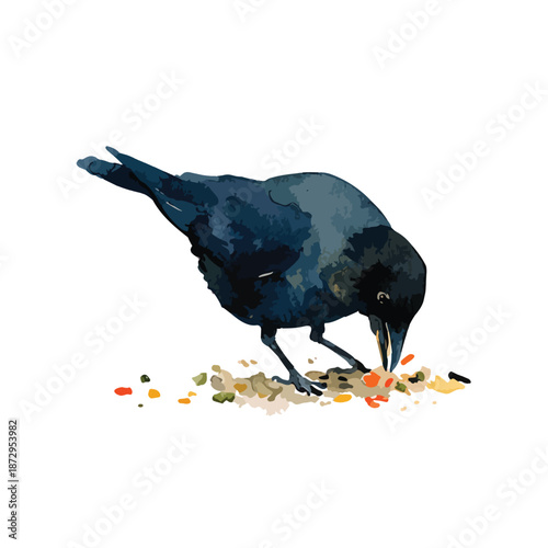 Dark Crow Foraging Food Watercolor Illustration.