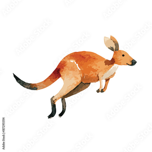 Dynamic Jumping Kangaroo Watercolor Illustration Australian Wildlife Animal Art.