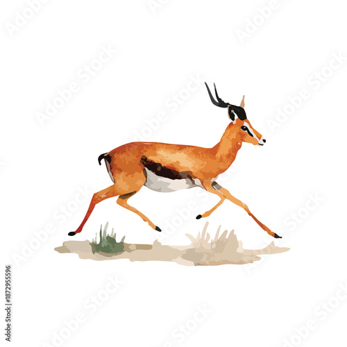 Dynamic Running Gazelle Vector Illustration African Wildlife Animal.