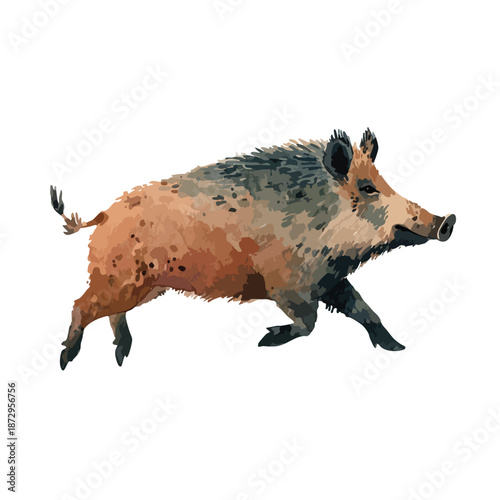 Dynamic Wild Boar Running Animal Illustration.
