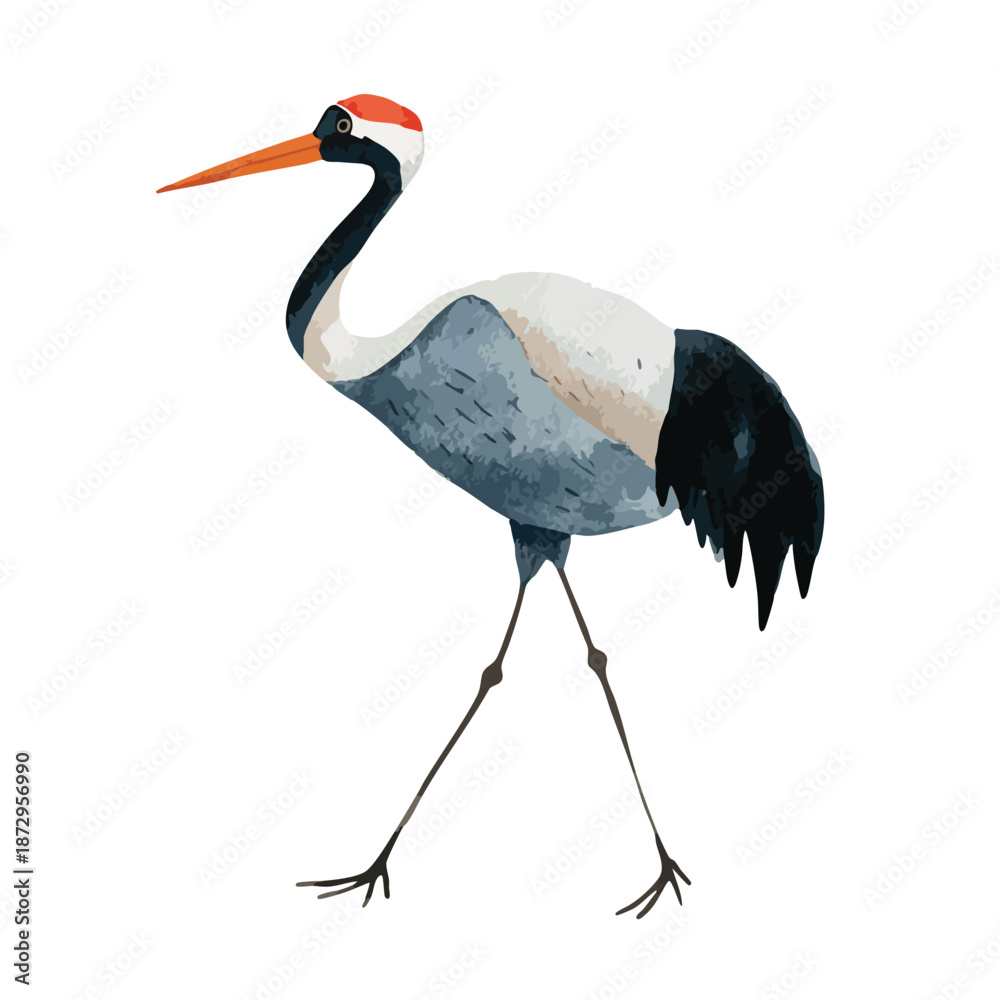 Obraz premium Elegant Redcrowned Crane Vector Illustration.