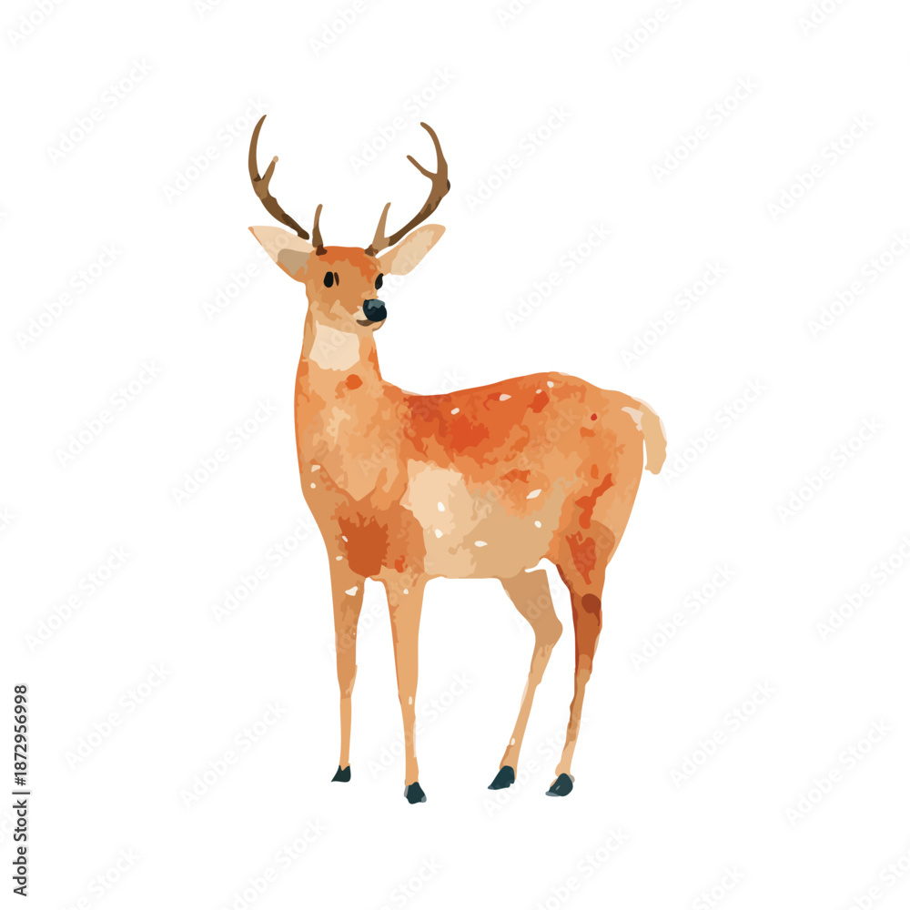 Fototapeta premium Elegant Watercolor Deer Illustration Wild Forest Animal Art.