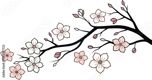 Elegant cherry blossom branch with pink flowers and buds in hand drawn vector style for spring season and oriental floral wedding invitation background