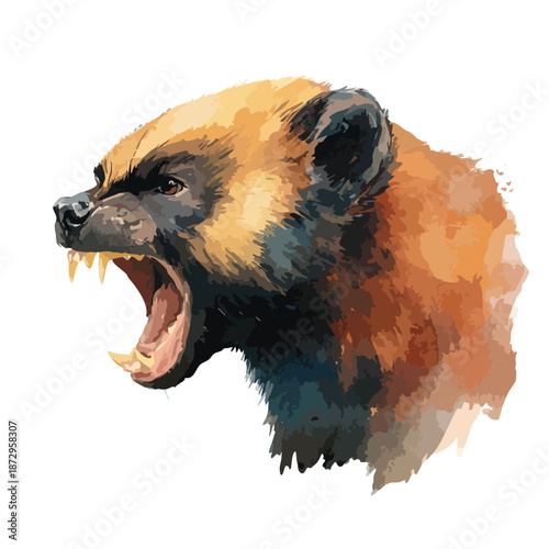 Fierce Wolverine Head Snarling Illustration.