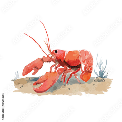 Fresh Red Lobster Watercolor Illustration Seafood Delicacy Art.