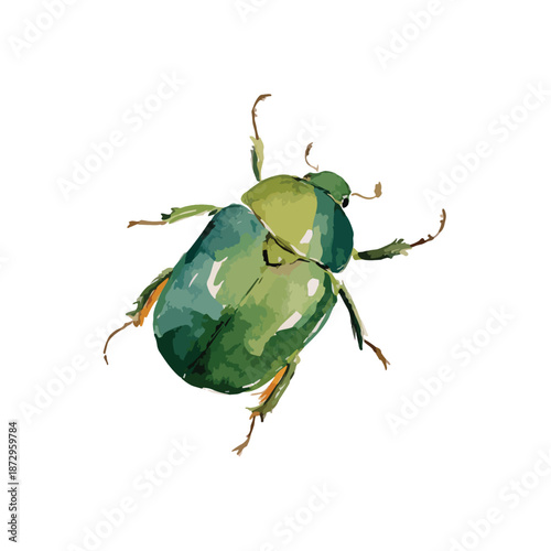 Green Beetle Insect Watercolor Illustration for Nature Designs.