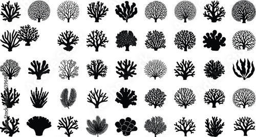 Coral and seaweed silhouette icon set, underwater marine plants collection, ocean reef shapes isolated white background black vector