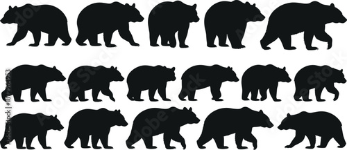Black bear walking silhouette collection, wild animal movement poses, forest wildlife shapes, mammal icons set, isolated nature illustration