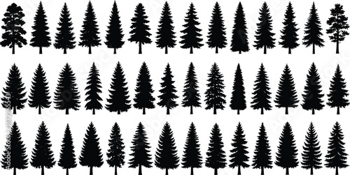 Black pine tree silhouettes collection, evergreen conifer forest shapes, nature woodland elements, vector illustration isolated on white background design set
