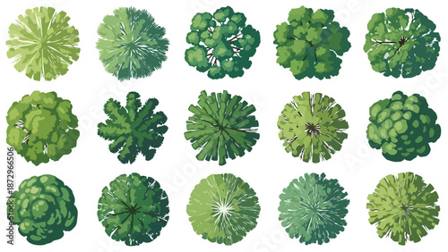 A collection of fifteen diverse green trees viewed from directly above, showcasing various shapes and textures of foliage in a top-down perspective.
