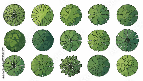 A collection of fifteen stylized top-down illustrations of various deciduous trees, rendered in shades of green with detailed canopy textures.