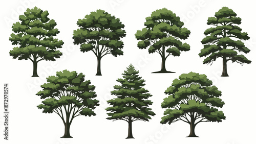 A collection of seven detailed illustrations of various deciduous and coniferous trees, presented against a white background.