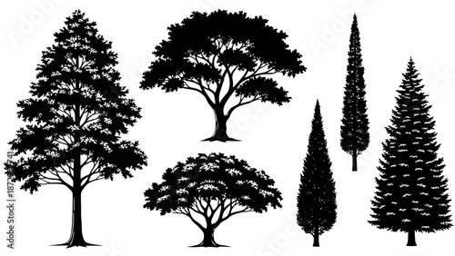 A collection of diverse tree silhouettes, showcasing various shapes and sizes, from tall conifers to broad deciduous trees.