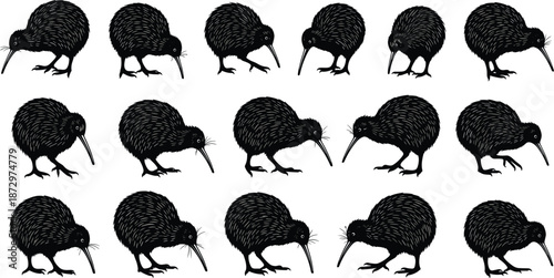 Kiwi bird silhouette collection in different poses, New Zealand native animal shapes, wildlife art, nature design, black vector illustration set