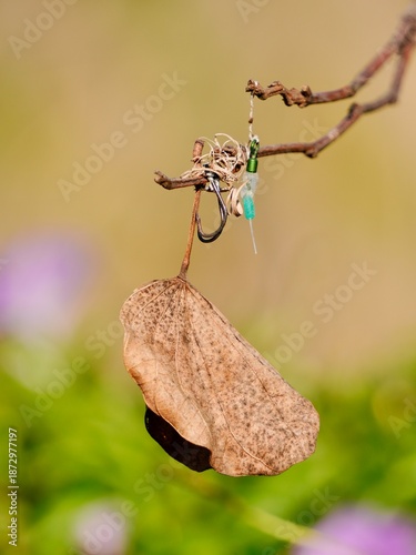 fishing hook tied to a dry leaf and branch