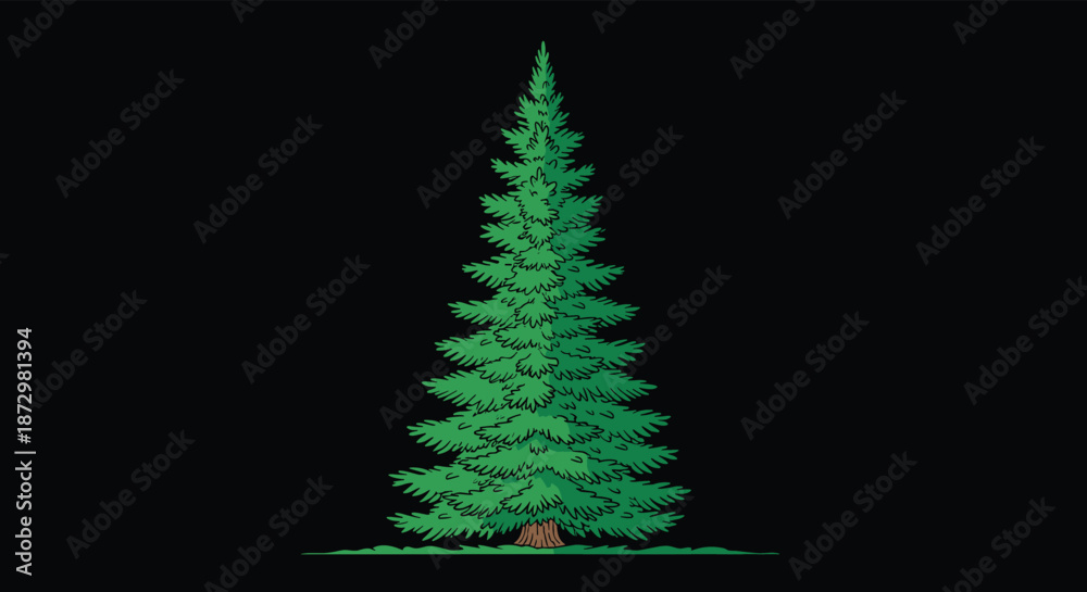 Fototapeta premium Tall, majestic fir tree with lush green needles and a sturdy brown trunk, depicted in a classic illustration style on a black background.