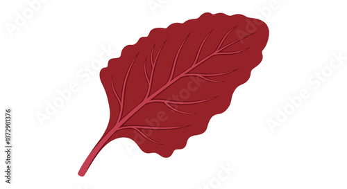 A single, vibrant dark red beet leaf with prominent veins and a wavy edge, isolated on a white background as a food or botanical element.