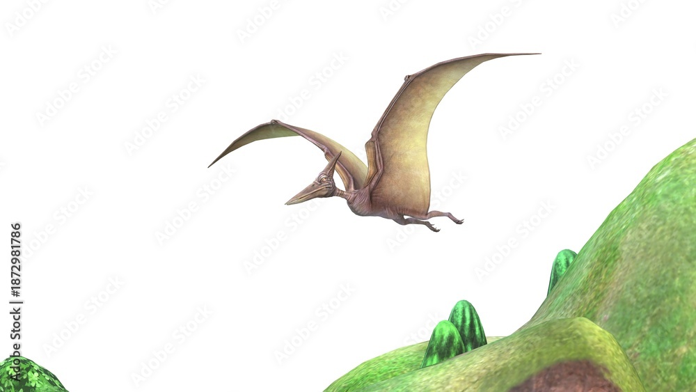 Fototapeta premium dinosaur soars