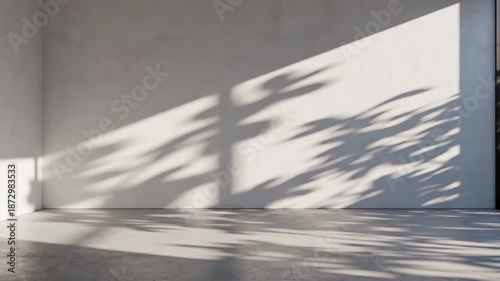 Minimalist interior space with sunlight and shadows across the empty room