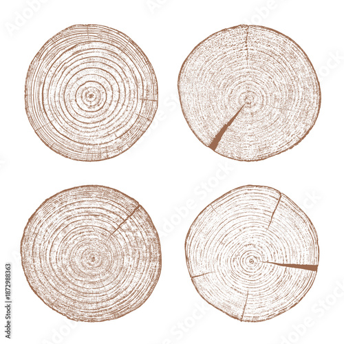 Tree ring wood texture cross section vector set. Natural wooden grain pattern circle. Annual growth illustration brown organic timber slice collection
