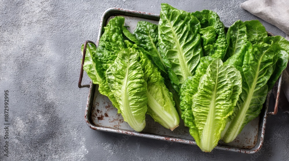 Obraz premium Fresh organic romaine lettuce leaves on rustic tray.