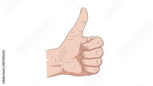 Close-up of a human hand giving a thumbs up gesture in a clear, vector illustration style